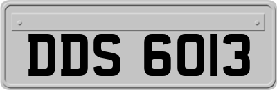 DDS6013