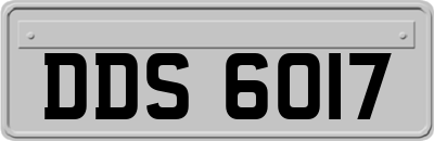 DDS6017