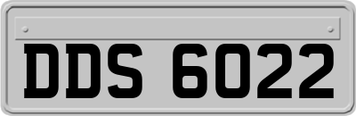 DDS6022