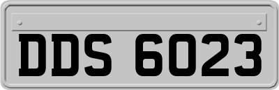 DDS6023