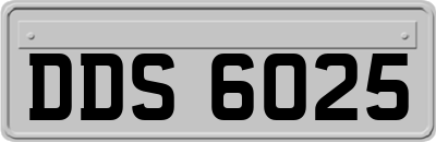 DDS6025
