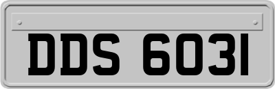 DDS6031