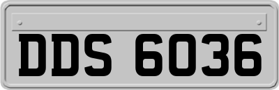 DDS6036