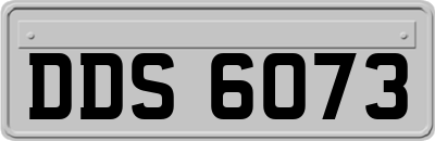 DDS6073