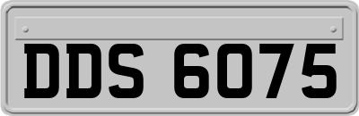 DDS6075