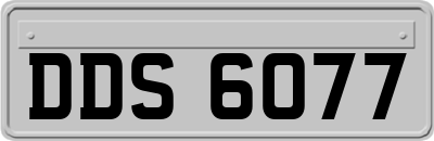 DDS6077