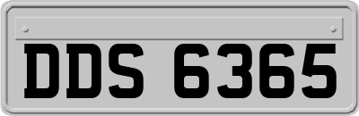 DDS6365
