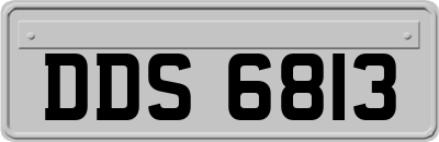 DDS6813