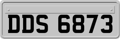 DDS6873