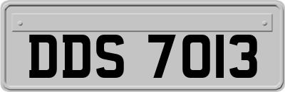 DDS7013
