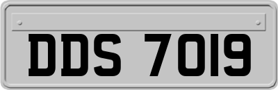 DDS7019