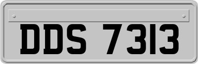 DDS7313