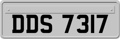 DDS7317