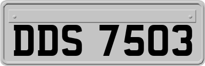 DDS7503