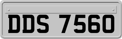 DDS7560