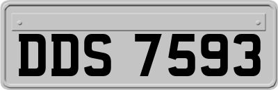 DDS7593