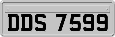 DDS7599