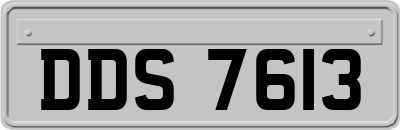 DDS7613