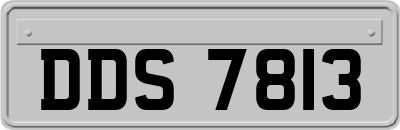 DDS7813