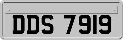 DDS7919