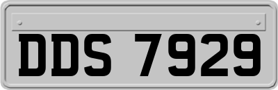 DDS7929