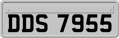 DDS7955