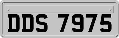 DDS7975