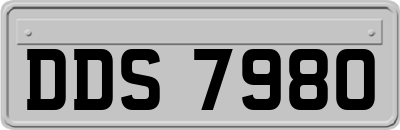DDS7980