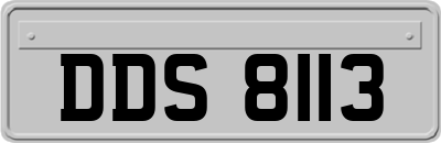 DDS8113