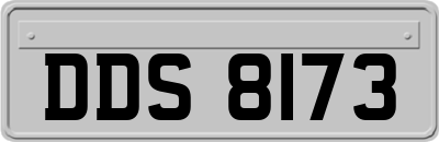 DDS8173