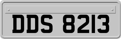 DDS8213