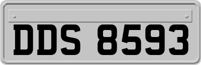 DDS8593