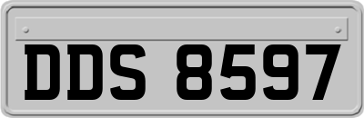 DDS8597