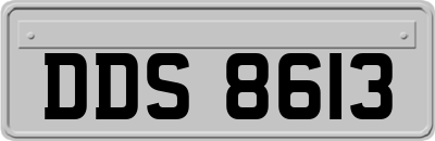 DDS8613