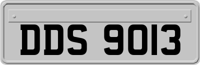 DDS9013