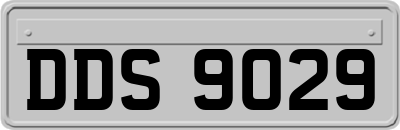 DDS9029