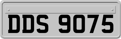 DDS9075