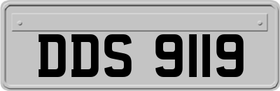 DDS9119