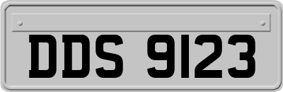 DDS9123