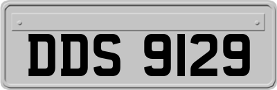 DDS9129