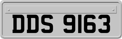 DDS9163