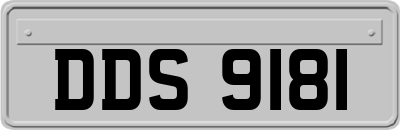 DDS9181