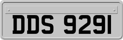 DDS9291