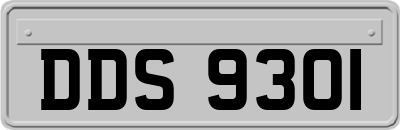 DDS9301