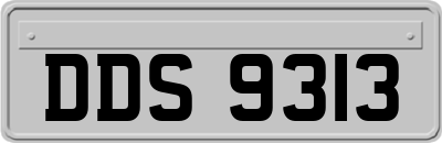 DDS9313