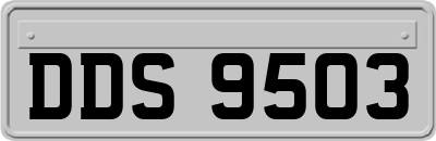 DDS9503