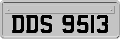 DDS9513