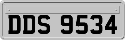DDS9534