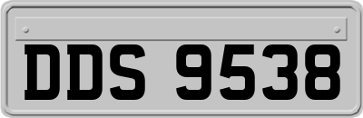 DDS9538