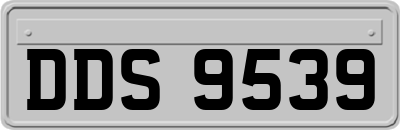 DDS9539